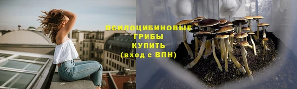 спайс Алексин
