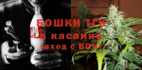 гашик Арсеньев