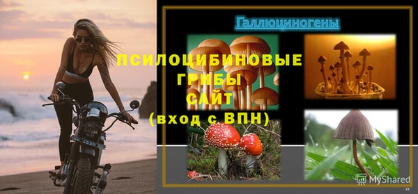 гашик Арсеньев