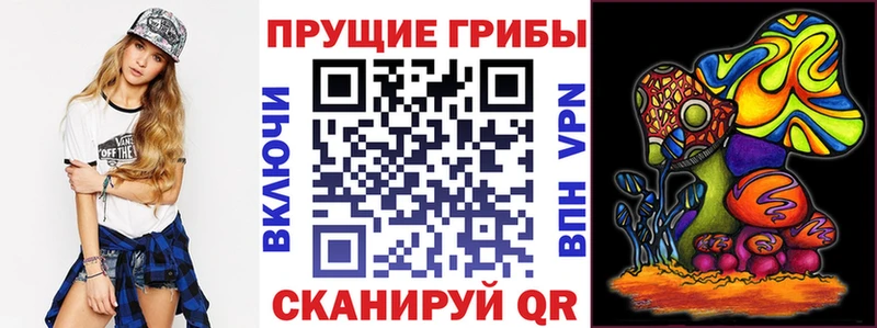 купить закладку  Магадан  Псилоцибиновые грибы Psilocybe 